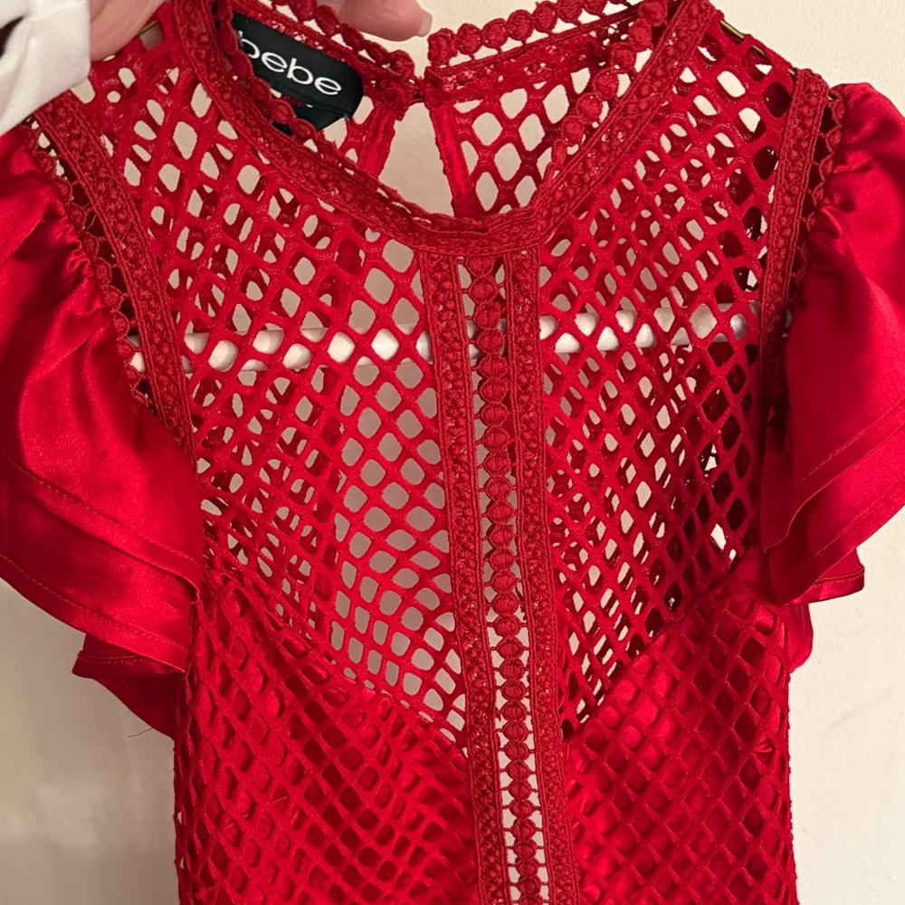 Bebe Scarlet Mesh dress